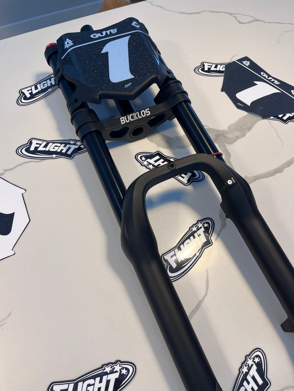 Motocutz Plate Decal